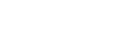 Versix